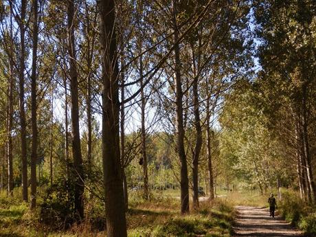 De Manlleu a Torelló siguiendo el curso del río Ter