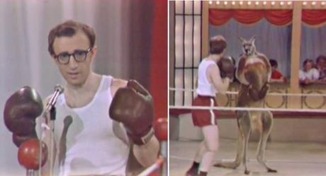 woody-allen-boxing-cincodays