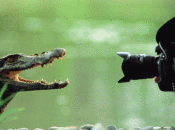 NatGeo destaca ciencia exploración historias