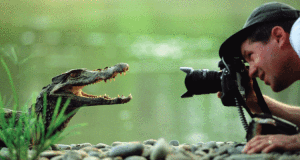 NatGeo destaca el uso de la ciencia y la exploración en sus historias
