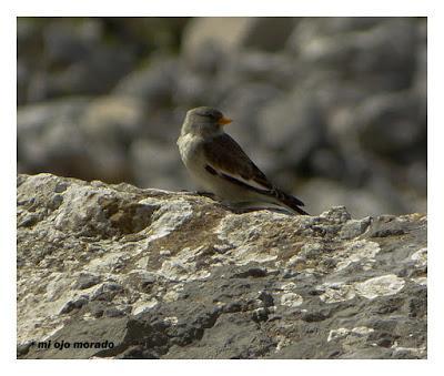 Un día con suerte Un día con suerte