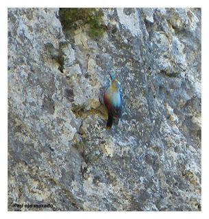 Un día con suerte Un día con suerte