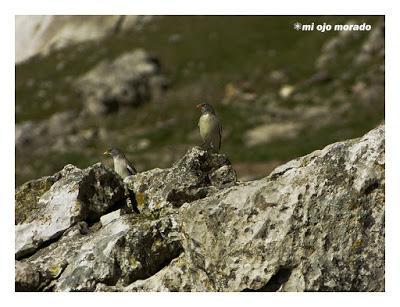 Un día con suerte Un día con suerte