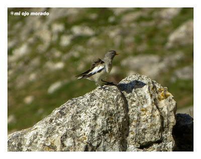 Un día con suerte Un día con suerte