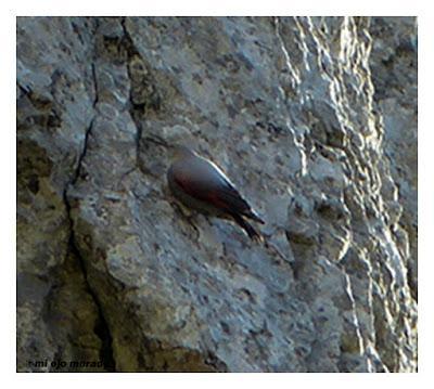 Un día con suerte Un día con suerte