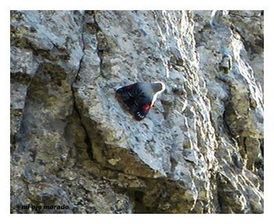 Un día con suerte Un día con suerte