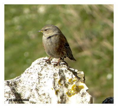 Un día con suerte Un día con suerte