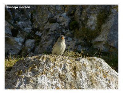 Un día con suerte Un día con suerte
