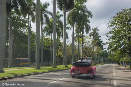 Nuevo viaje a Cuba