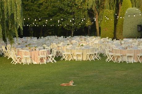 CAROLINA & GUILLERMO: UNA ELEGANTE NOVIA TOT- HOM