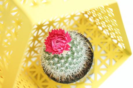 diy-estante-casa-de-estilo-nordico