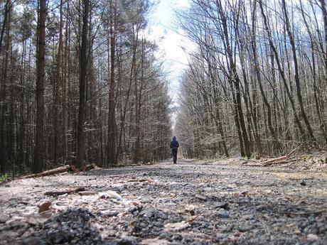 Una despedida — Relato de Carmelo Beltrán