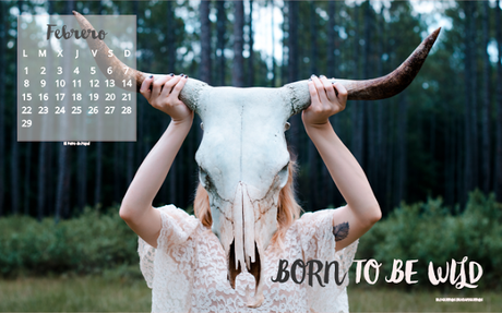 Fondos de pantalla y calendarios: Febrero 2016