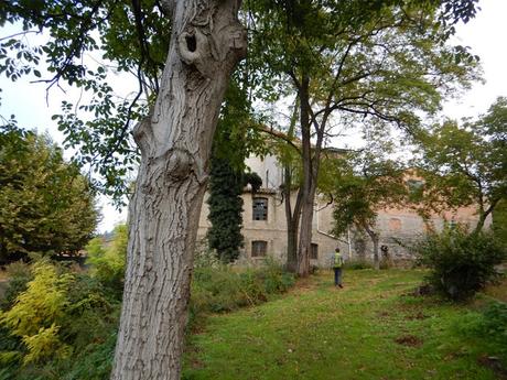 De Torelló a Sant Quirze de Besora siguiendo el curso del río Ter