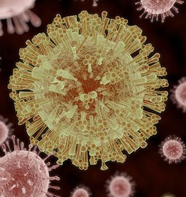 El virus Zika. Lo que necesitas saber.