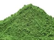 Moringa: propiedades beneficios