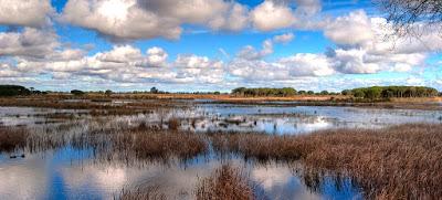 Día Mundial de los Humedales