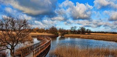 Día Mundial de los Humedales