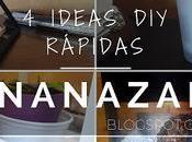 Ideas Rápidas Fáciles