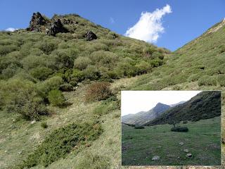 Majadas de Genestosa, La Majúa y Torrestío