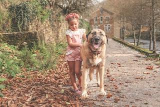 Igor, calzado, spring 2016, cangrejeras, kids, ropa infantil, Suits and Shirts, 