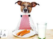 Alimentos malos para perros: debes darle!