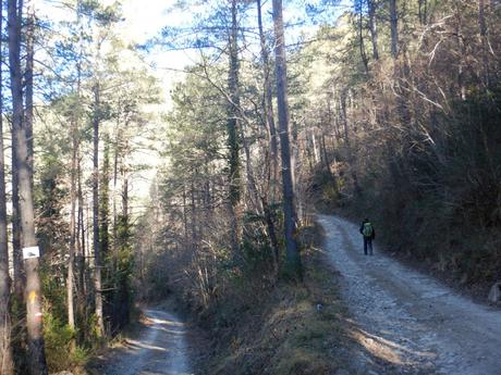 De Ripoll a Campdevànol por els gorgs del torrent de la Cabana