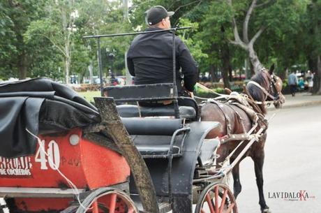 Viaje a Cuba, ùltimos acontecimientos, fotos e informaciòn