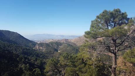 Rutas en familia: Hoy...un emplazamiento misterioso (Alfaguara II)