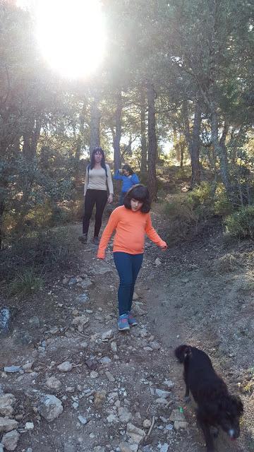 Rutas en familia: Hoy...un emplazamiento misterioso (Alfaguara II)