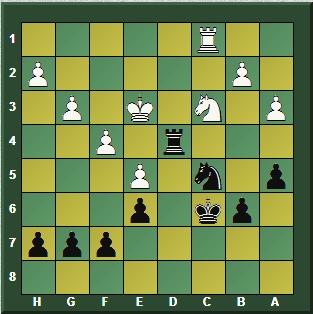 Magnus Carlsen en Wijk aan Zee (Holanda) – Torneo Tata Steel Masters 2016 (XII)