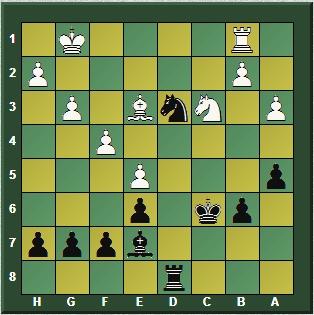 Magnus Carlsen en Wijk aan Zee (Holanda) – Torneo Tata Steel Masters 2016 (XII)