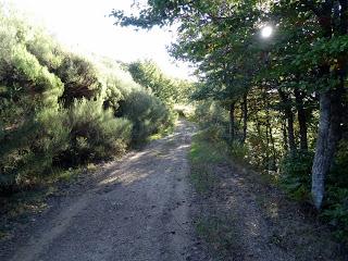 Puerto Tarna-Abedular-Montoviu-Ventaniella-Los Llobiles