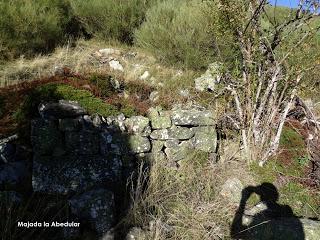 Puerto Tarna-Abedular-Montoviu-Ventaniella-Los Llobiles