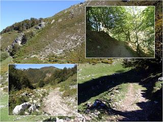 Puerto Tarna-Abedular-Montoviu-Ventaniella-Los Llobiles