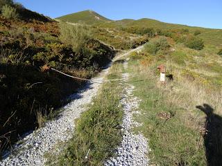 Puerto Tarna-Abedular-Montoviu-Ventaniella-Los Llobiles