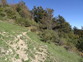 Puerto Tarna-Abedular-Montoviu-Ventaniella-Los Llobiles