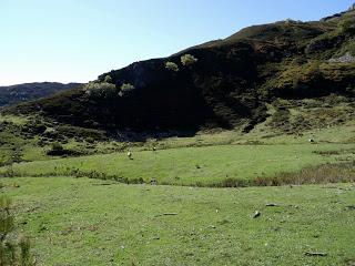 Puerto Tarna-Abedular-Montoviu-Ventaniella-Los Llobiles