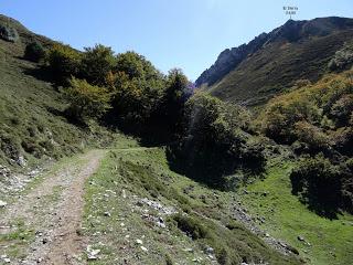 Puerto Tarna-Abedular-Montoviu-Ventaniella-Los Llobiles