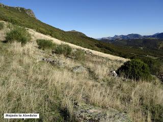 Puerto Tarna-Abedular-Montoviu-Ventaniella-Los Llobiles