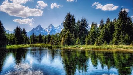 priroda-oboi-1920x1080-1245-c7327ee8