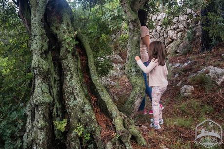 Amar a los árboles desde pequeños