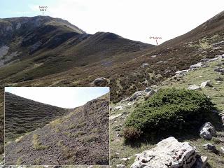 Por los puertos y valles de Torrestío