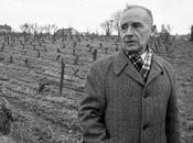 tienda ortopédica literatura, Julien Gracq