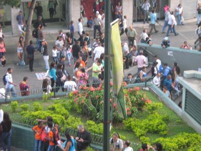 EL RECREO - A PARTIR DE LAS FIESTAS CANAVALESCA SE INICIA EL PLAN DE SEGURIDAD EN EL BULEVAR SABANA GRANDE