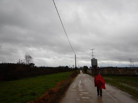 Camino inglés. Etapa 2. De Segurde-Carral a Bruma
