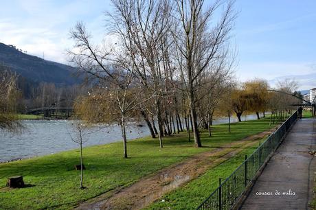 O Barco de Valdeorras, XVI Festa do Botelo O Barco de Valdeorras, XVI Festa do Botelo