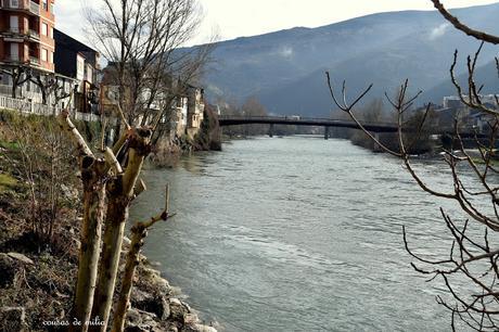 O Barco de Valdeorras, XVI Festa do Botelo O Barco de Valdeorras, XVI Festa do Botelo