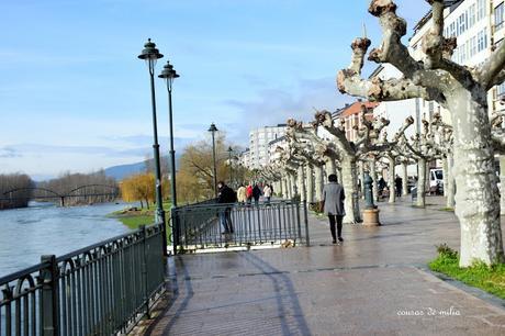 O Barco de Valdeorras, XVI Festa do Botelo O Barco de Valdeorras, XVI Festa do Botelo