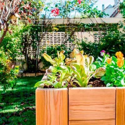 Cómo hacer un huerto urbano en casa